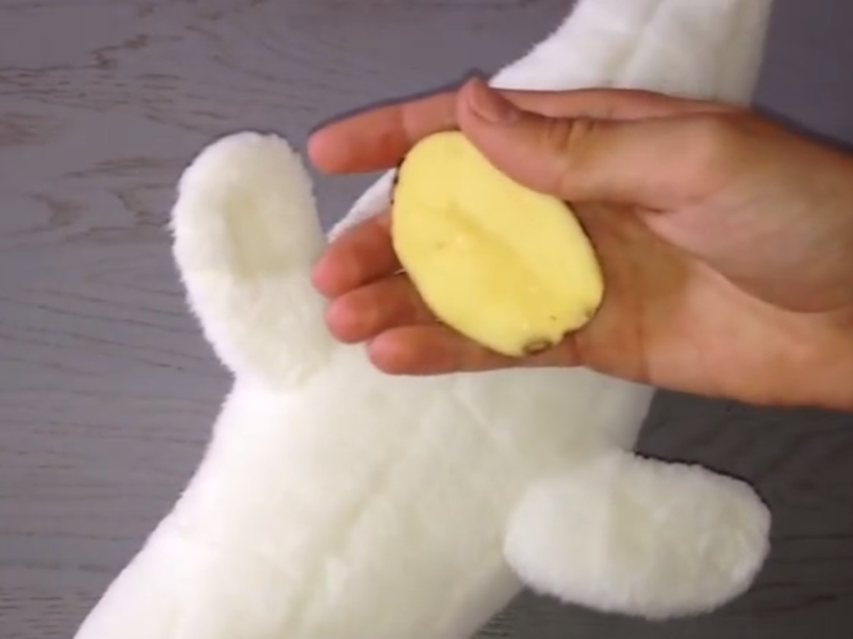 nettoyer-une-peluche-qui-ne-passe-pas-a-la-machine